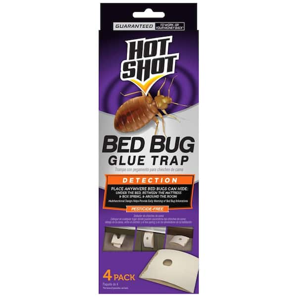 Glue Trap